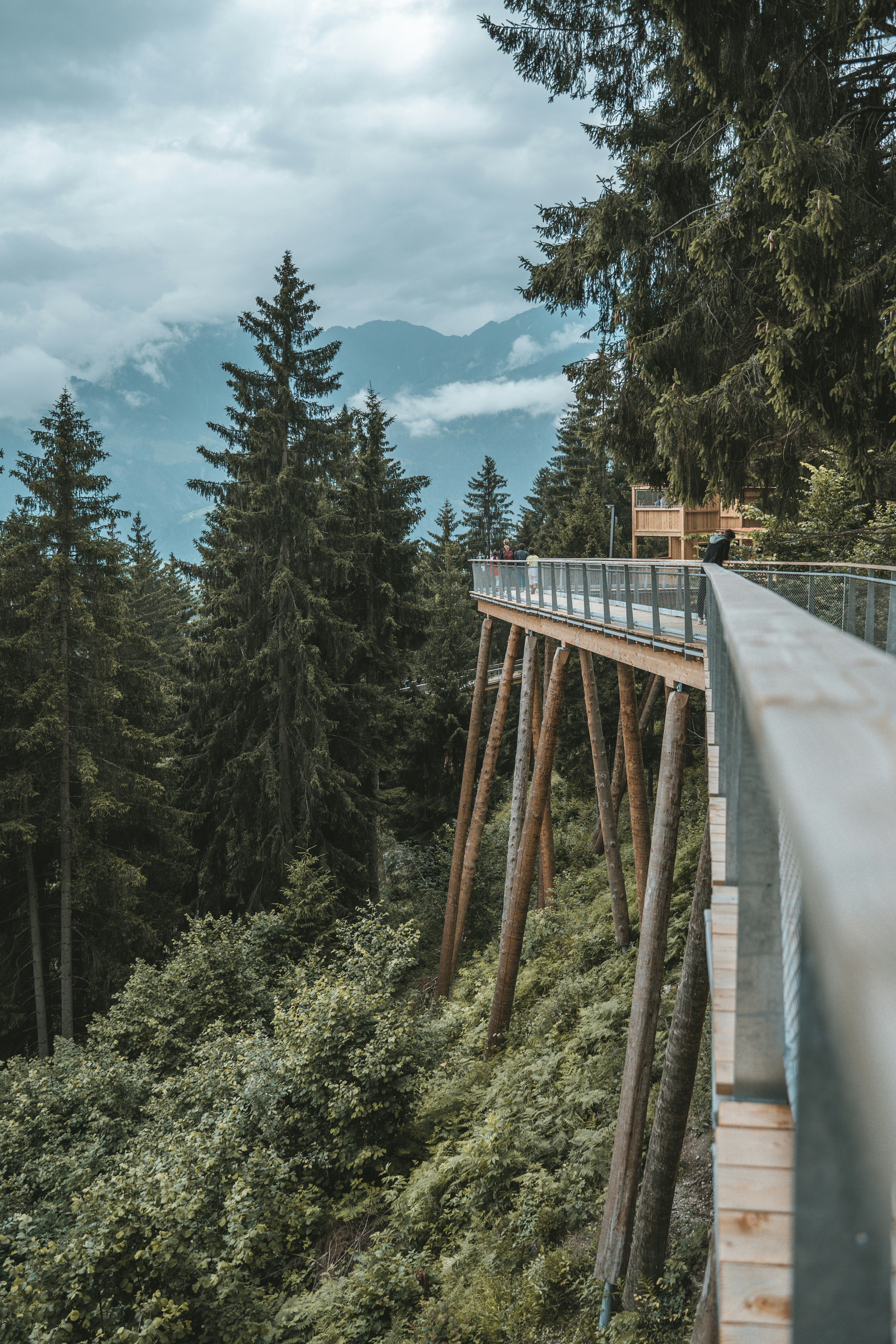 brown wooden bridge over green pine trees under white clouds and blue sky during daytime